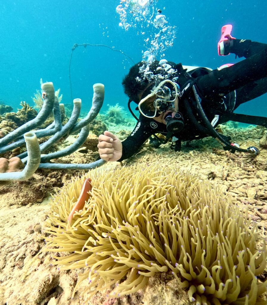 WhatsApp Image 2025-09-19 at 13.56.10